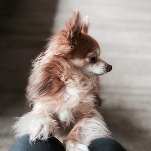 Meet your Posher, Ash